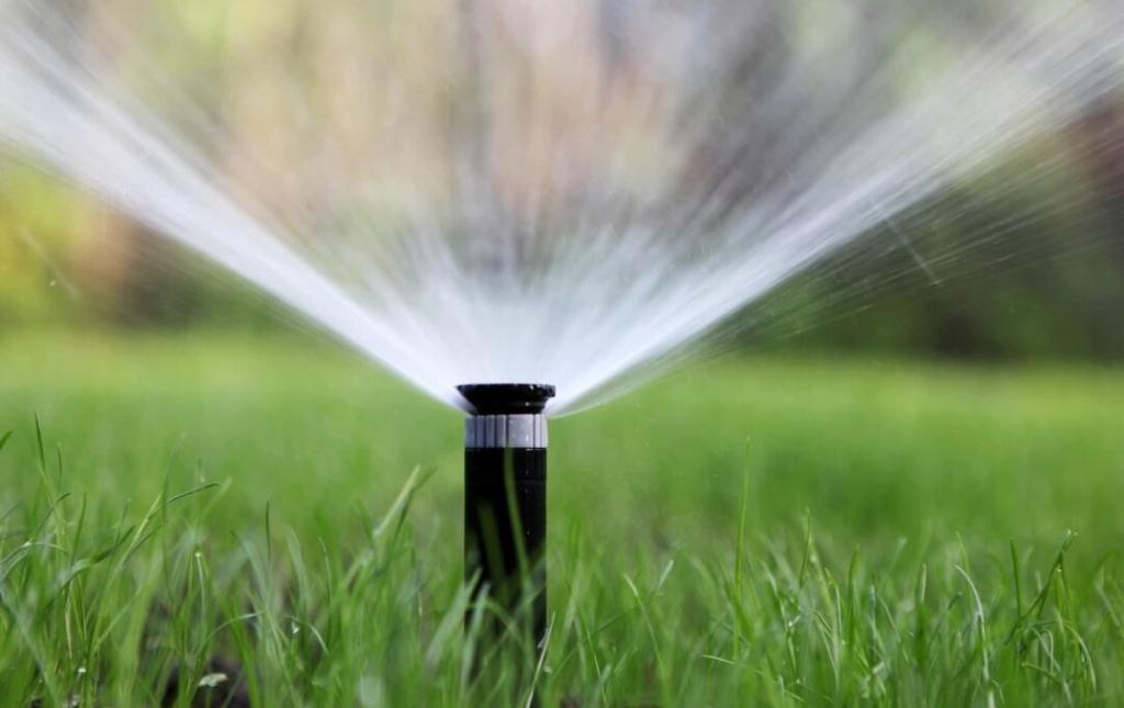 Automatic irrigation system installation in Al Ain - Image 4
