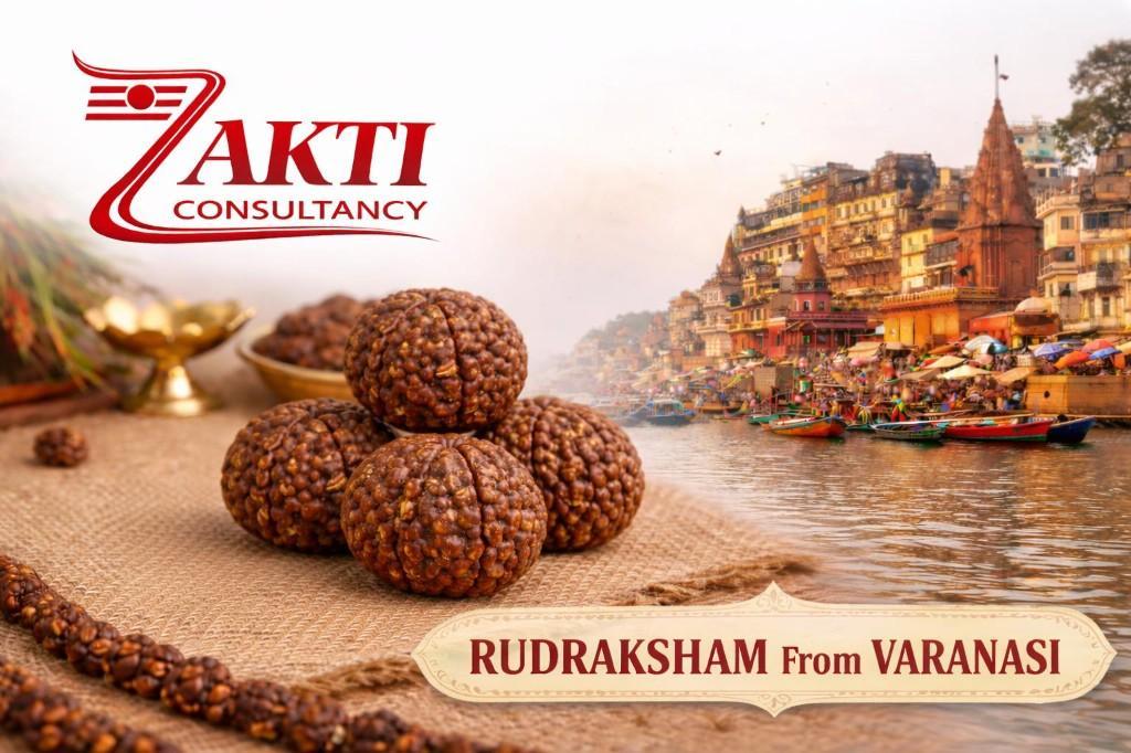 Available for Sales Rudraksham Beads in Sarang Rimau - Image 1