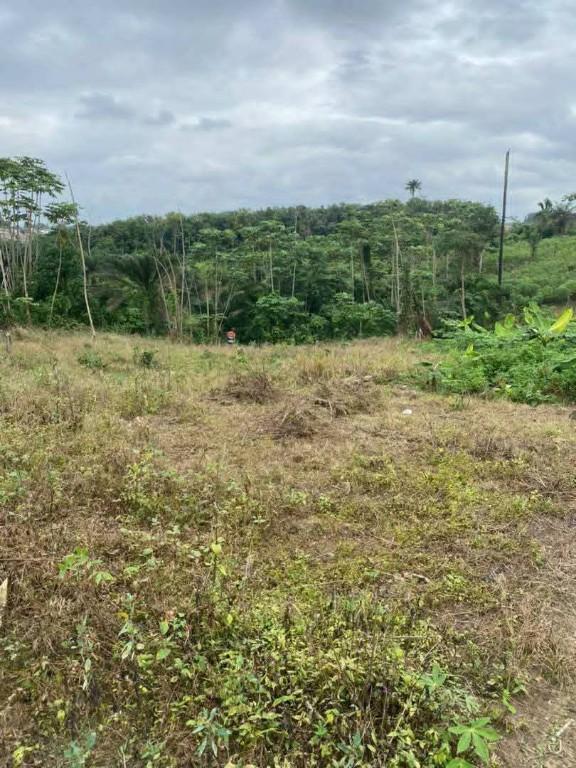 En vente terrain à Anyama - Photo 1