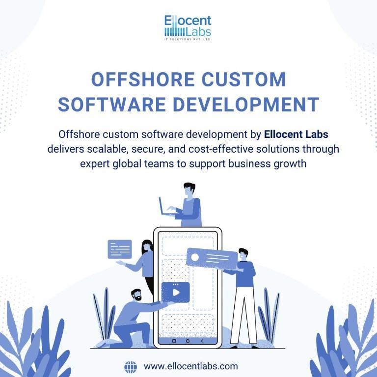 Reliable Offshore Custom Software Development Experts in Chandigarh - Image 1