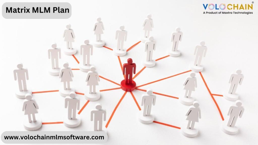 Grow Smarter Using Matrix MLM Software Today in Noida - Image 1