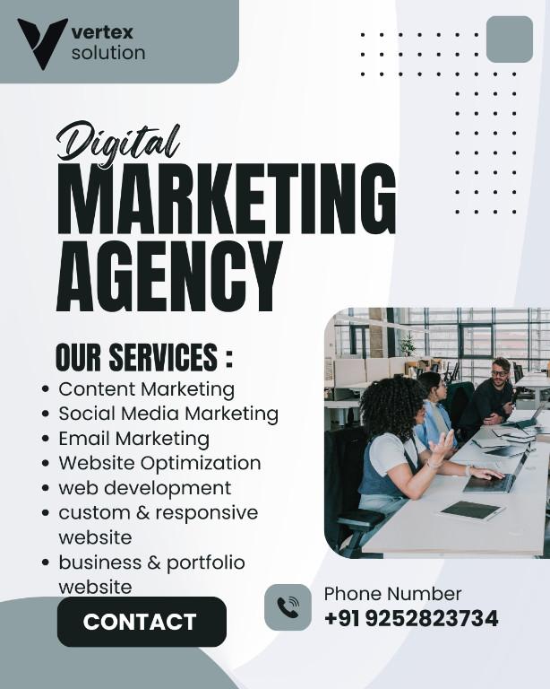Vertex Solution – Digital Marketing & Web Development Agency in Vaishali Nagar - Image 2