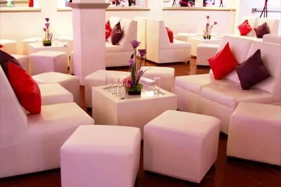 Eventos gran diseño, Renta de salas lounge, para fiestas. en Huixquilucan - Imagen 4