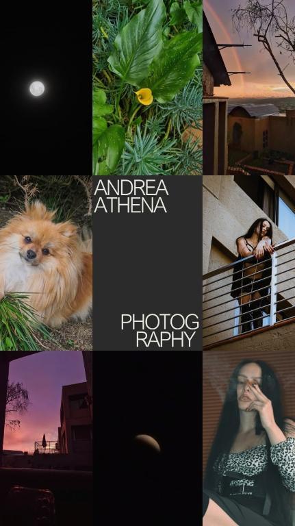 Photographer and studio in Johannesburg - Image 2