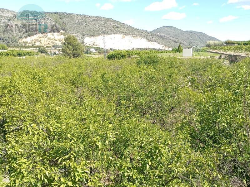 TERRENO RUSTICO EN ADSUBIA en Oliva - Imagen 1