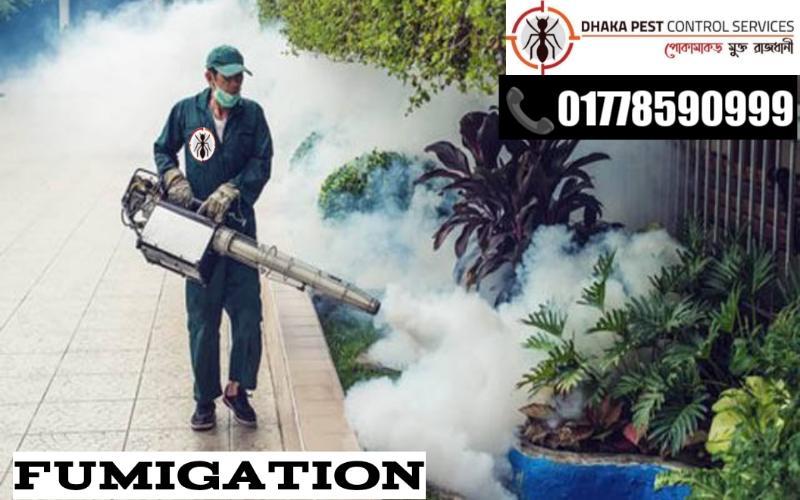 Best Pest Control in Bangladesh - Image 4