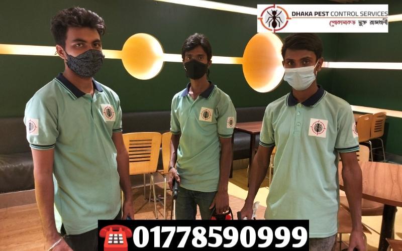 Best Pest Control in Bangladesh - Image 5