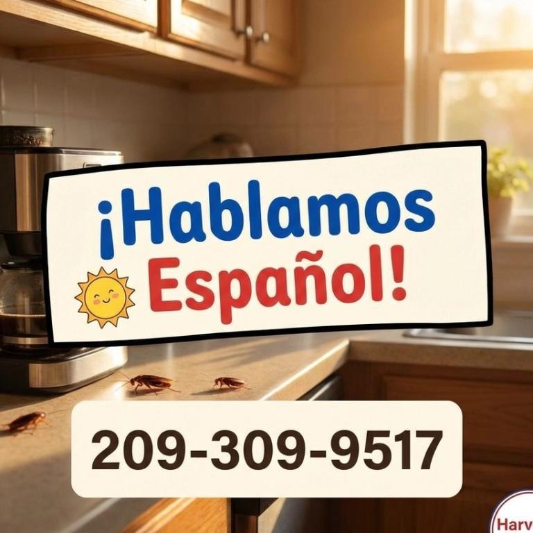 COCHINAS CUCARACHAS EN CASA en los Estados Unidos - Imagen 1