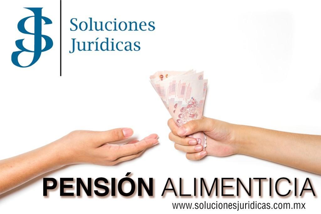 PENSIÓN ALIMENTICIA – ASESORÍA Y DEFENSA LEGAL en Colonia Roma - Imagen 2