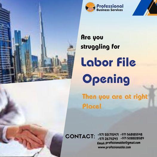 ARE YOU STRUGGLING FOR LABOR FILE OPENING WE CAN GUIDE YOU! in Abu Dhabi - Image 1