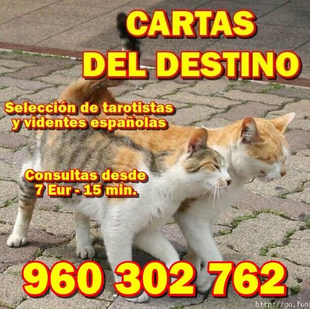 VIDENTES Y TAROTISTAS -- CARTAS DEL DESTINO en España - Imagen 1