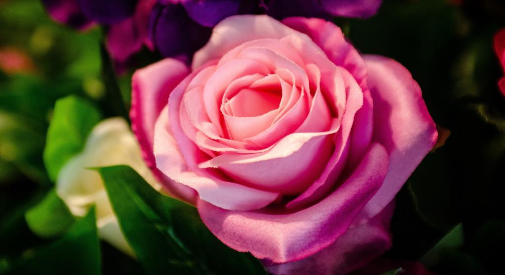 eFloral - Flower Delivery in East Grinstead - Image 2