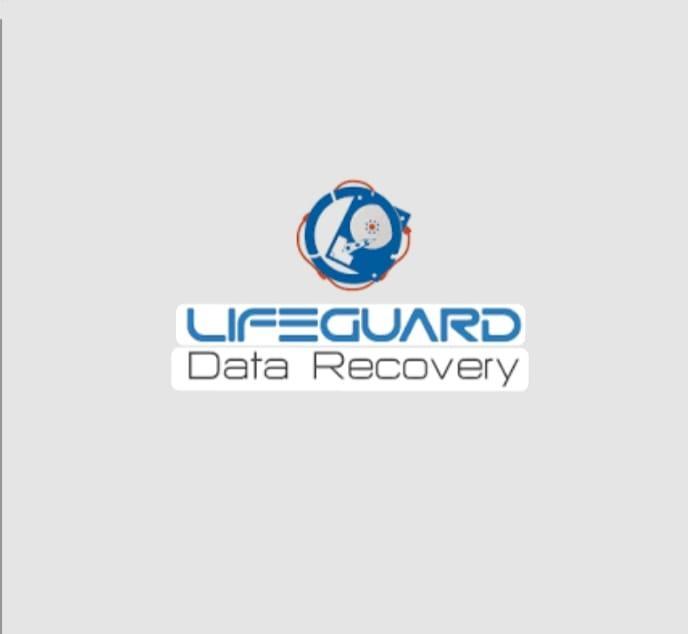 life guard data recoveryyy in Dwārka - Image 1