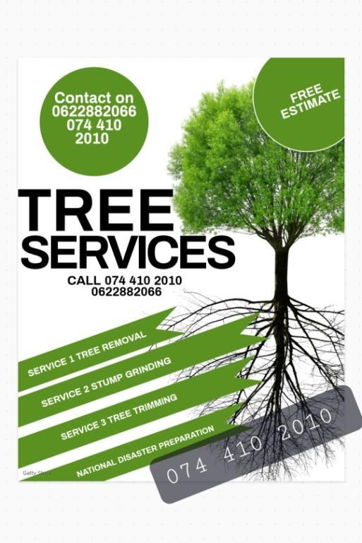 Tree cutting services in Ibhayi - Image 2