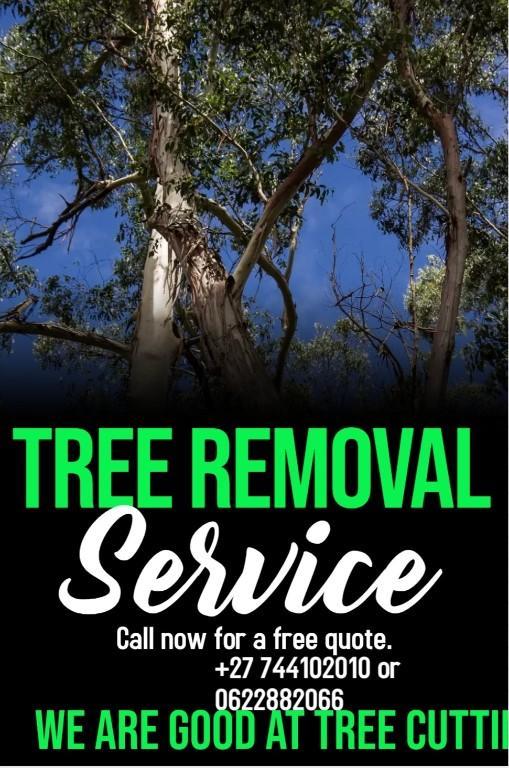 Tree cutting services in Ibhayi - Image 3