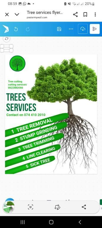 Tree cutting services in Ibhayi - Image 4