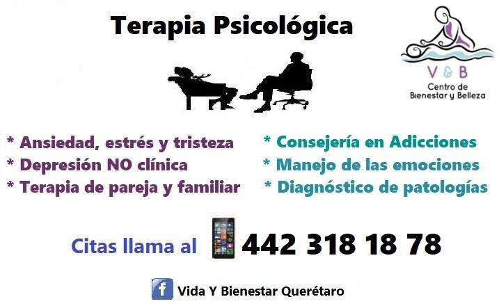 ACOMPAÑAMIENTO PSICOLÓGICO PRESENCIAL en México - Imagen 1