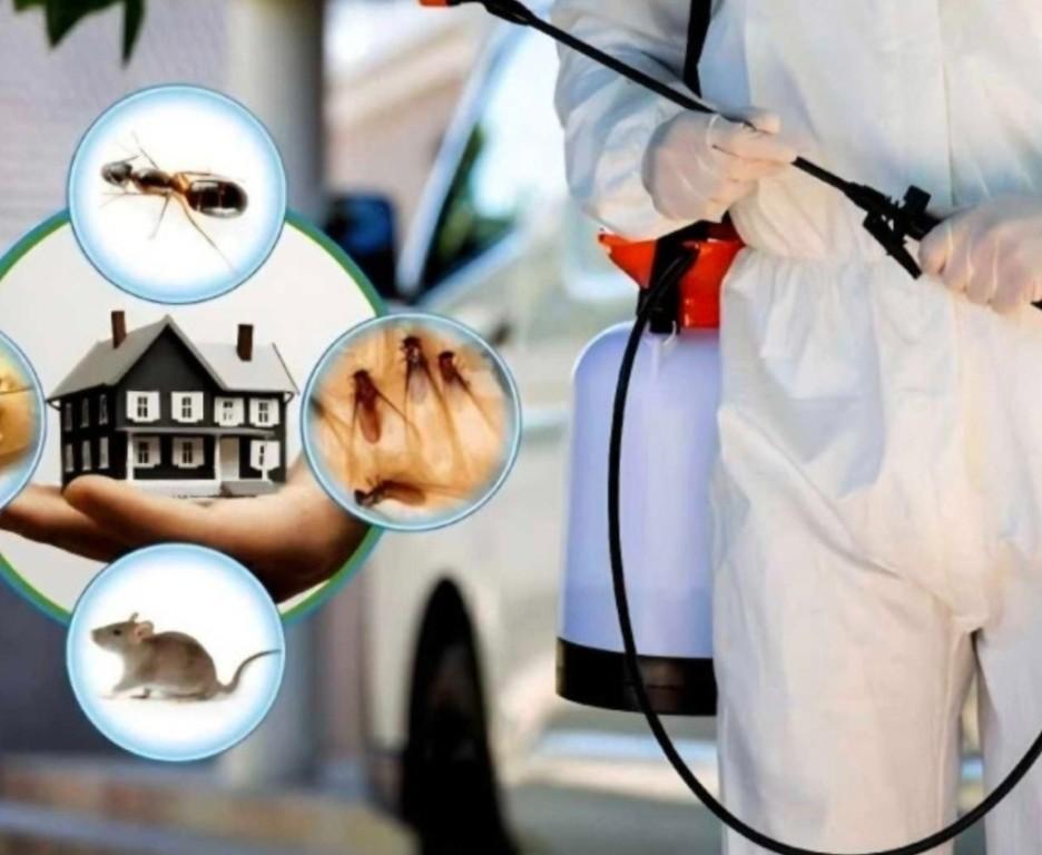 Conclusion Pest Control in Saskatoon - Image 1