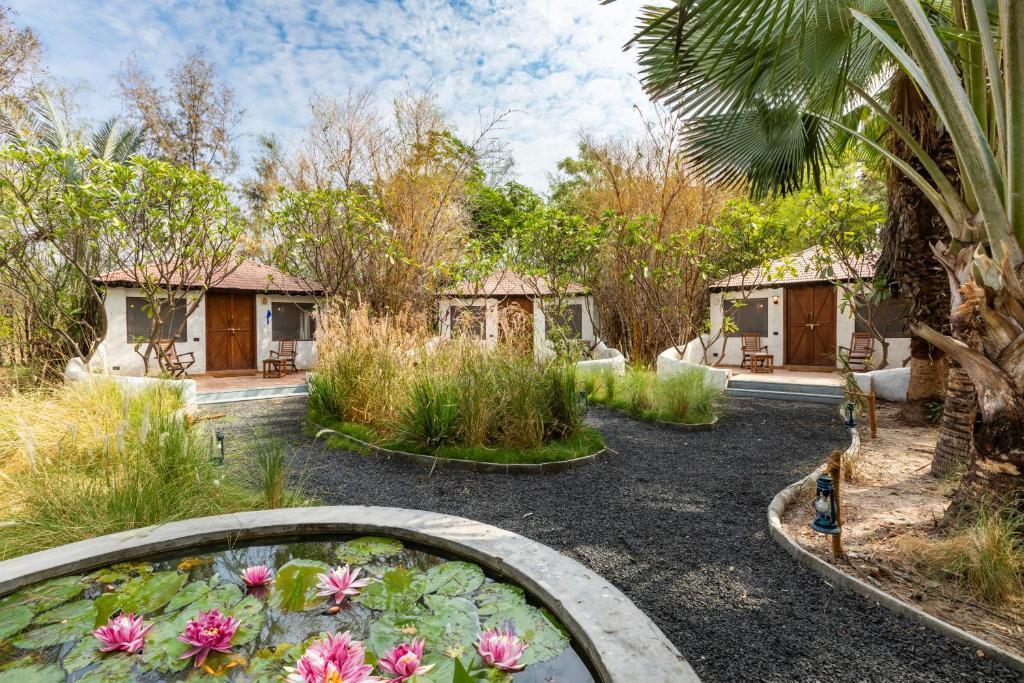 Wildlife Resorts in Gujarat | Rann Riders Safari Resort in Gandhinagar - Image 2