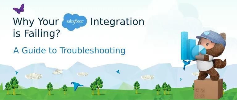Salesforce Integration Services, Salesforce Integration Partners in India - Image 1