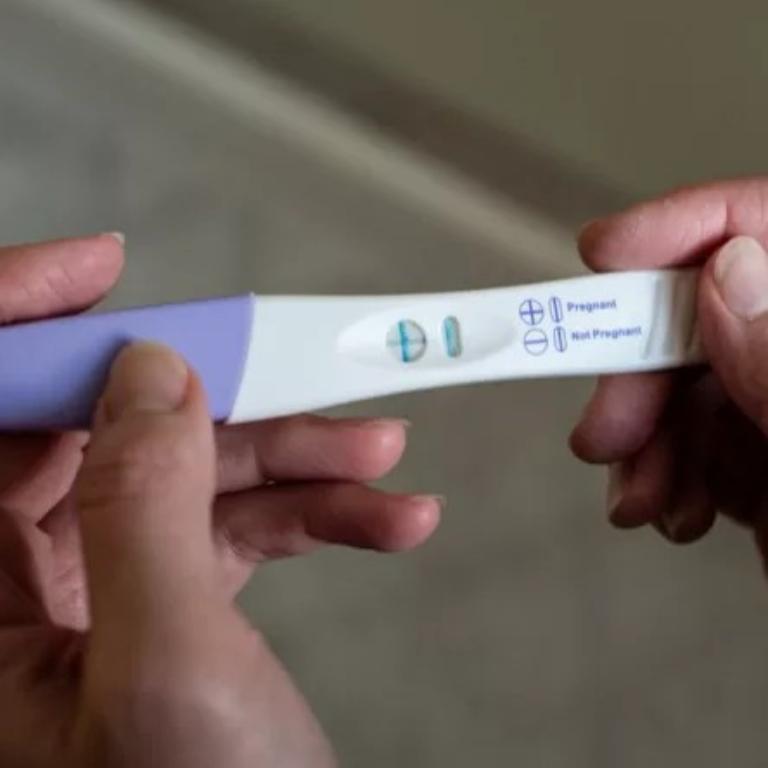 Reproductive choices and pregnancy issues in South Africa - Image 2