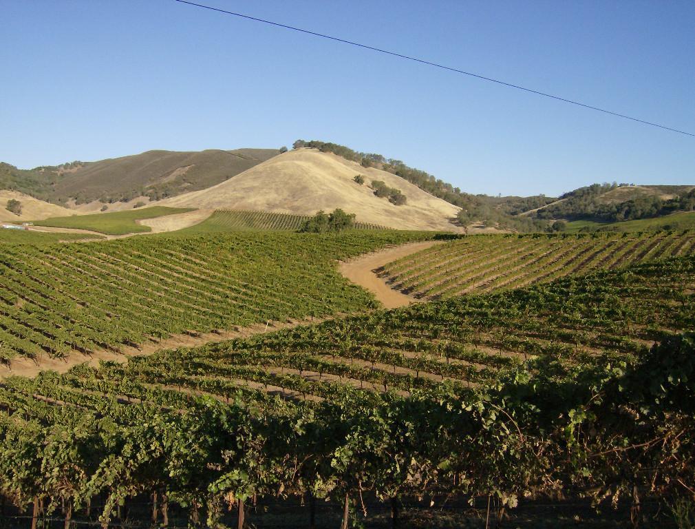 Diamond Ridge Vineyards Ranch and Geothermal Prospect in Buckeye - Image 3