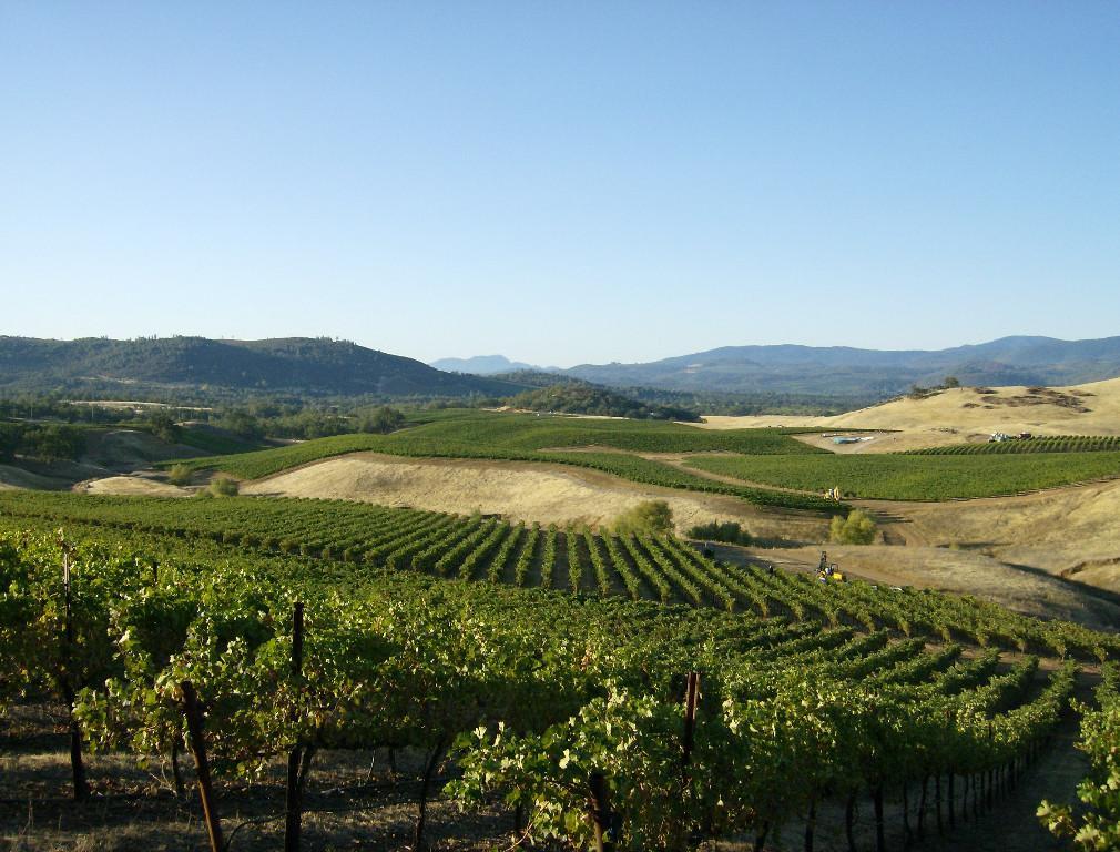 Diamond Ridge Vineyards Ranch and Geothermal Prospect in Buckeye - Image 4
