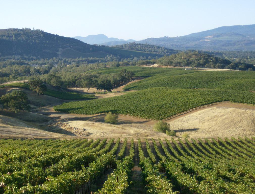 Diamond Ridge Vineyards Ranch and Geothermal Prospect in Buckeye - Image 5