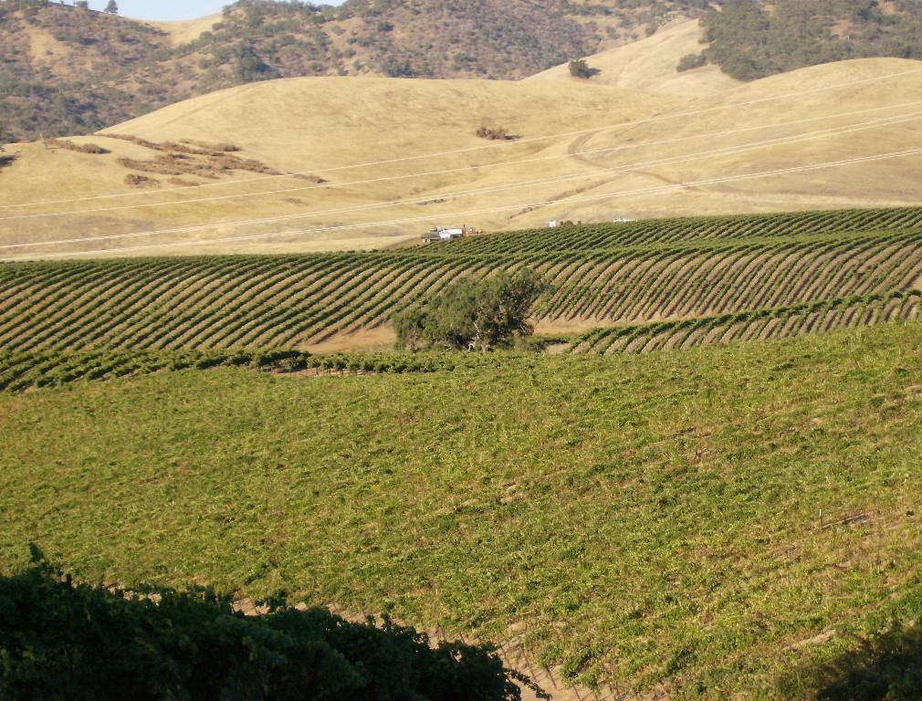 Diamond Ridge Vineyards Ranch and Geothermal Prospect in Buckeye - Image 6