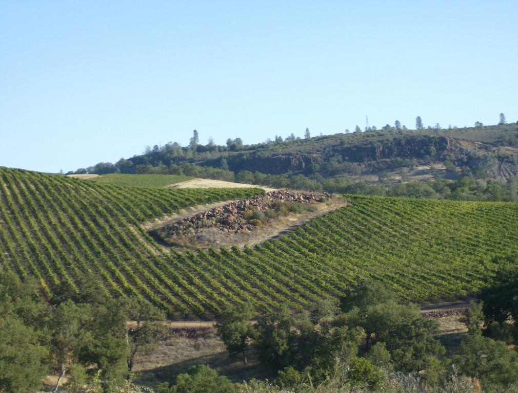 Diamond Ridge Vineyards Ranch and Geothermal Prospect in Buckeye - Image 7