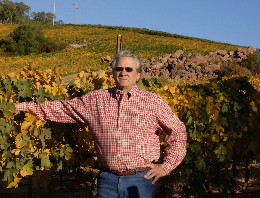 Diamond Ridge Vineyards Ranch and Geothermal Prospect in Buckeye - Image 8