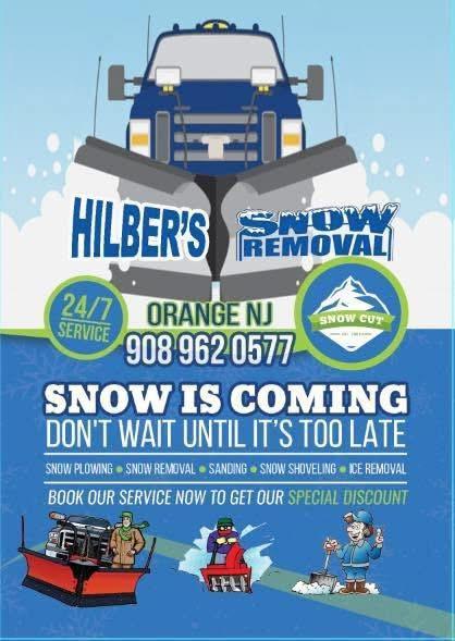 Snow removal services in New York - Image 1