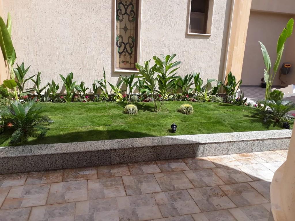 Landscape & Construction Contractor | Riyadh in Riyadh - Image 3