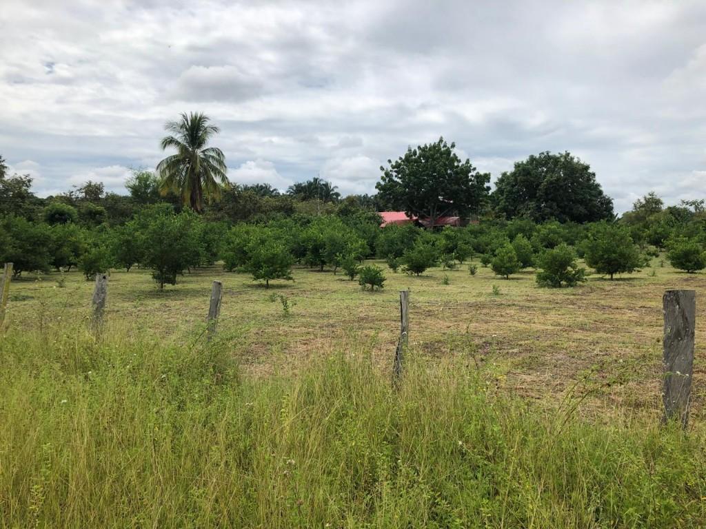 OFERTA DE EMPLEO – FINCA RURAL en Planadas - Imagen 1