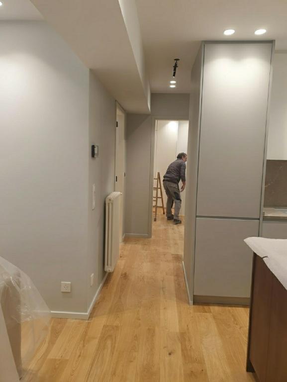 PINTOR PROFESIONAL en España - Imagen 1