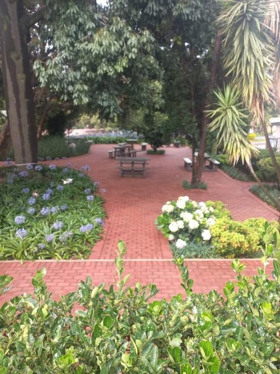 Comprehensive cleaning services in Alberton - Image 3