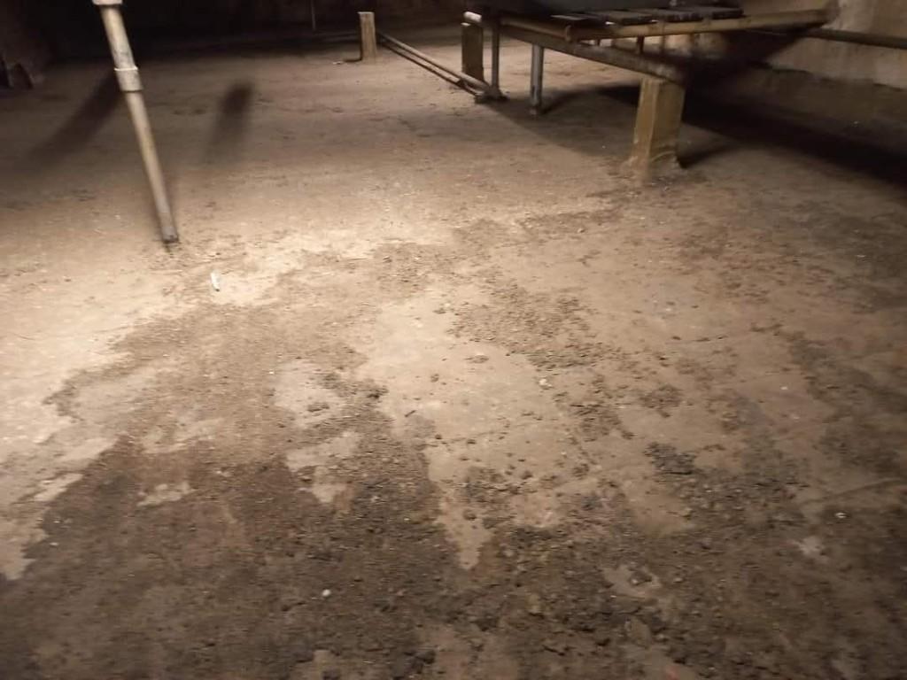 Comprehensive cleaning services in Alberton - Image 4