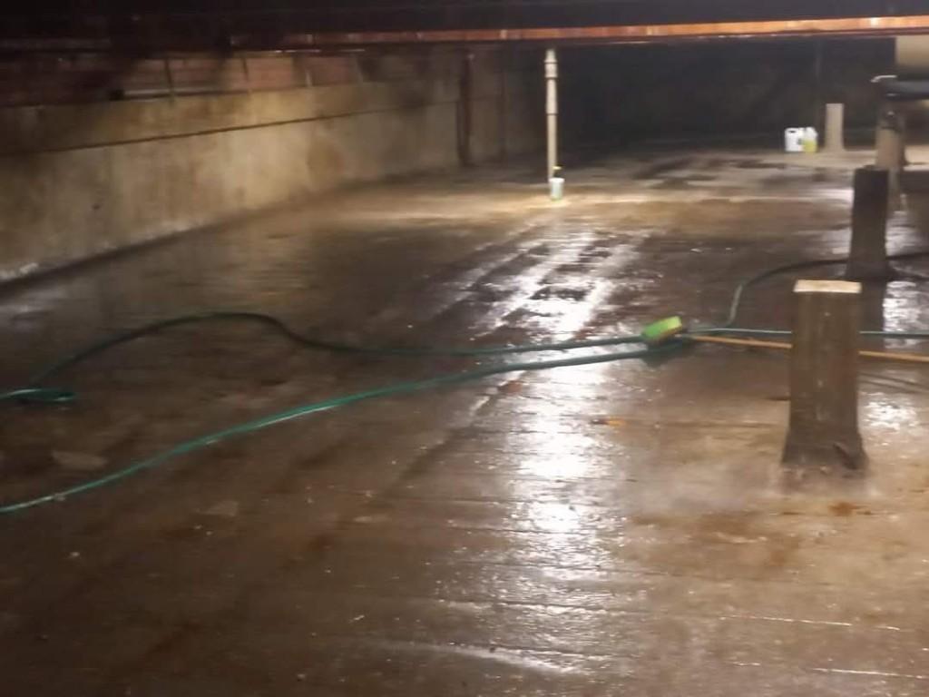Comprehensive cleaning services in Alberton - Image 6