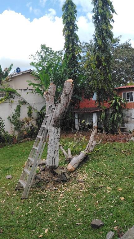Servicio Luttrell en Panamá - Imagen 4
