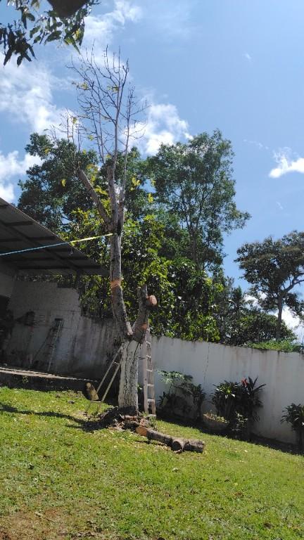 Servicio Luttrell en Panamá - Imagen 5