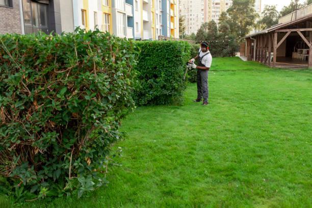 JARDINERO PARA COMUNIDAD DE PROPIETARIOS en Fuengirola - Imagen 4