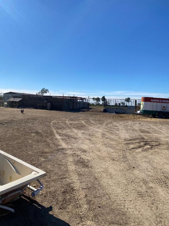 TERRENO EN RENTA PANAMERICANO AVE PRINCIPAL CON CONSTRUCCIONES en Tijuana - Imagen 5