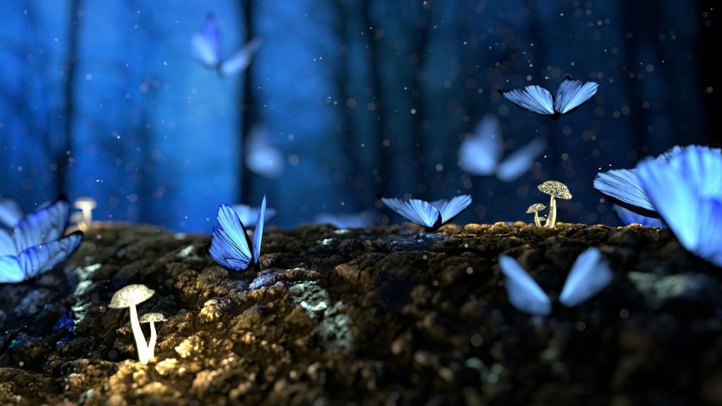 Nature Magic Lessons — Earth Magic and Manifestation Training in United States - Image 1