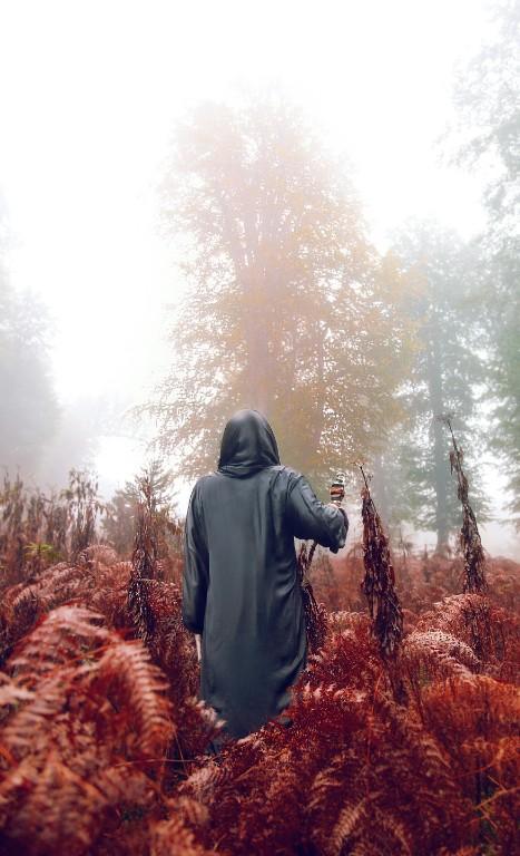 Nature Magic Lessons — Earth Magic and Manifestation Training in United States - Image 2