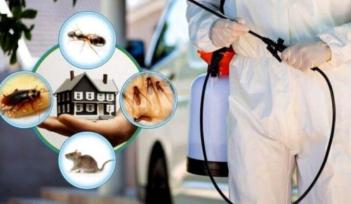 Pest Control Service in Gurgaon in Gurgaon - Image 1