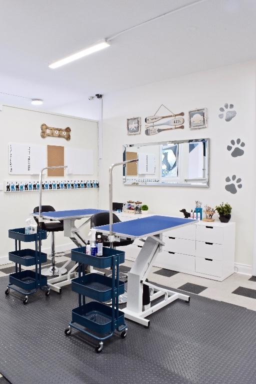 BooBoo Pet Grooming Services in Mississauga - Image 4