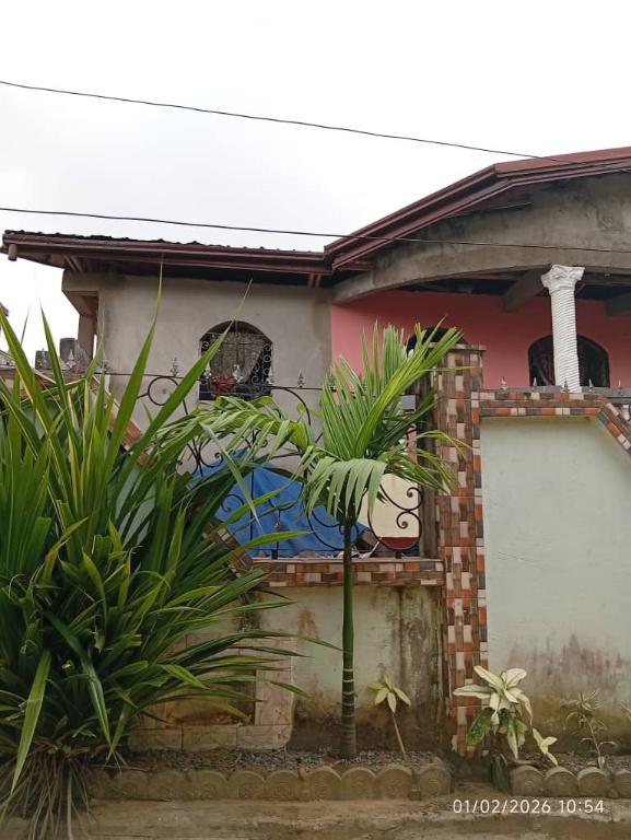 duplex à vendre logbaba au Cameroun - Photo 2