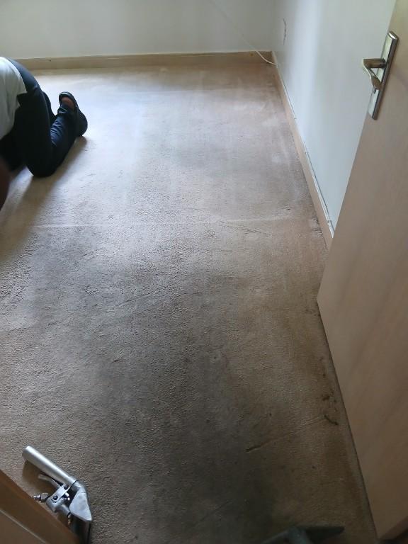 Carpet cleaning in Randburg - Image 5
