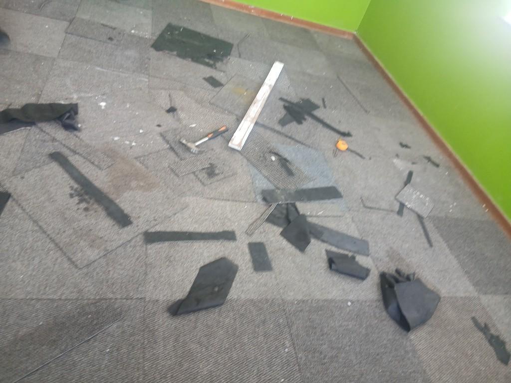 Carpet cleaning in Randburg - Image 8