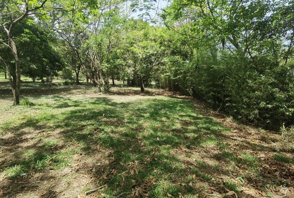 Se vende lote en Brasil Santa Ana 25-1945 en Desamparados - Imagen 3